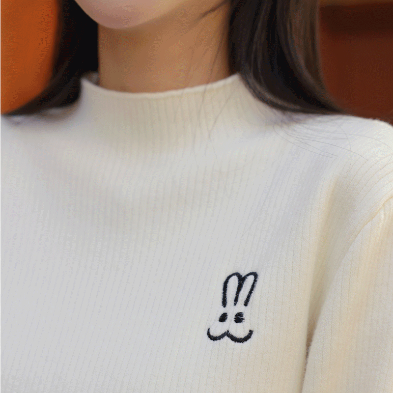 ǰ̹